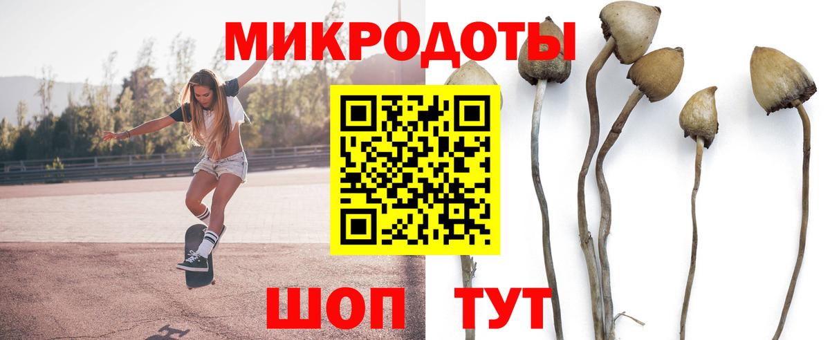 Галлюциногенные грибы GOLDEN TEACHER Ливны